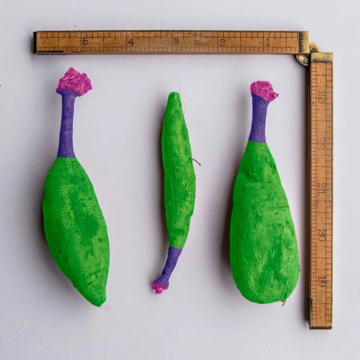 Dahlia tuber anatomy, showing Crown, Neck and Body