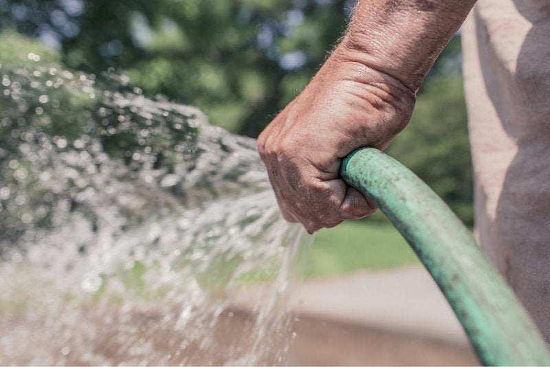 Water your Trees and Hedging